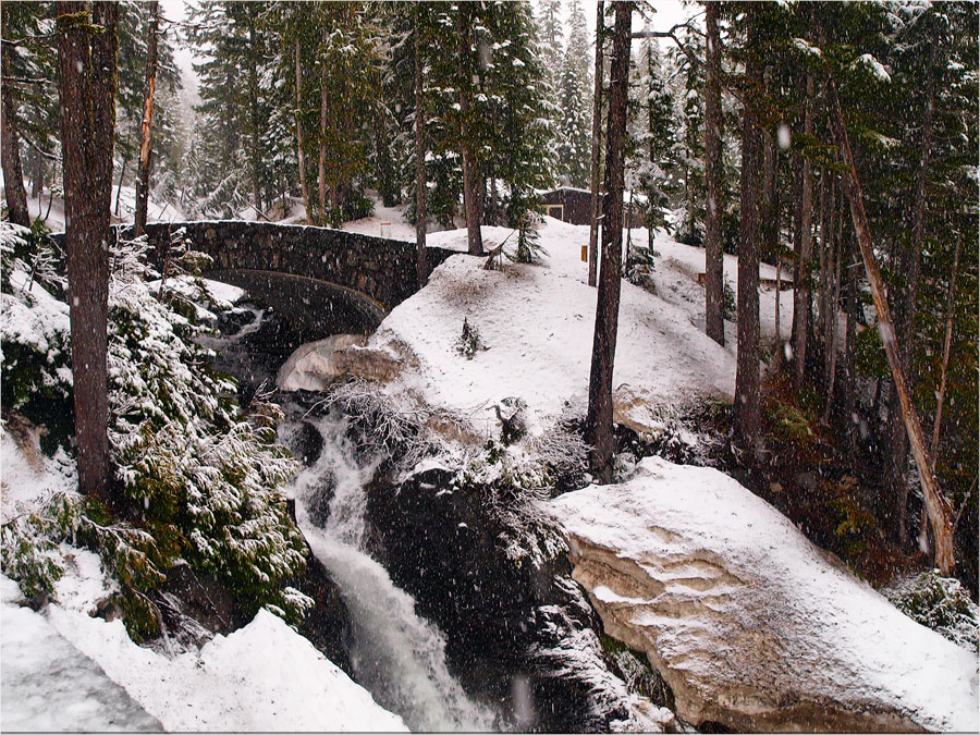 Mt. Rainier