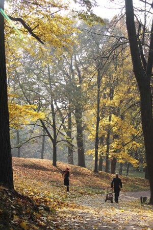 Осень