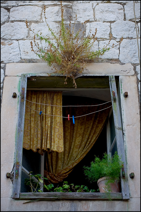 ...indoor garden...