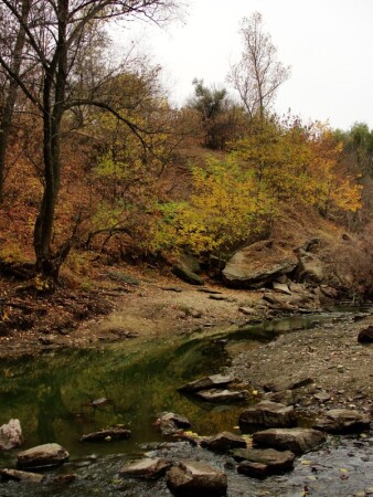 Прощай Осень