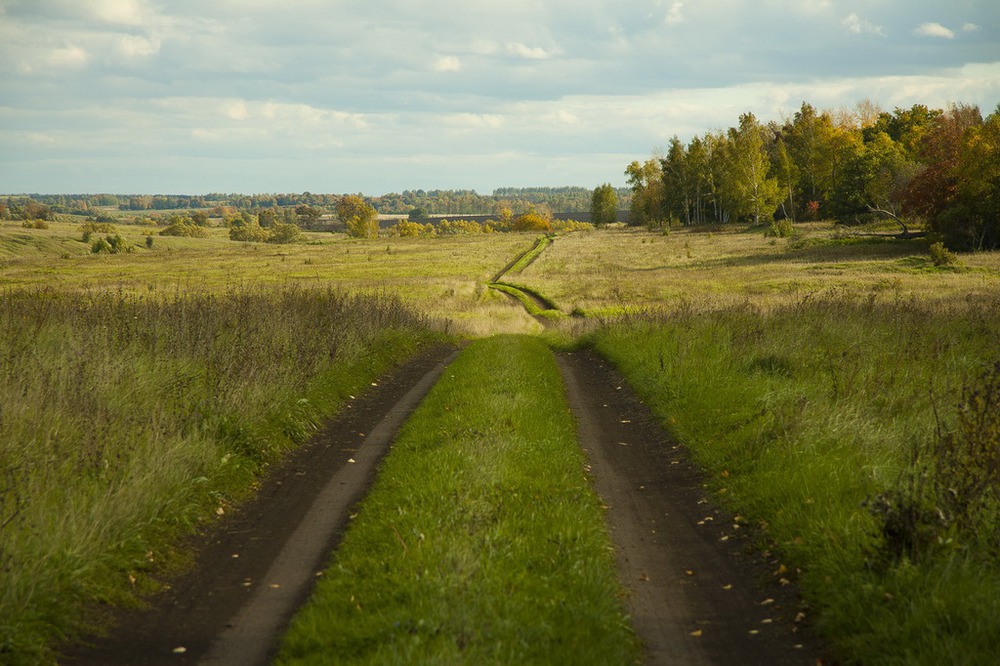 Дорога в осень