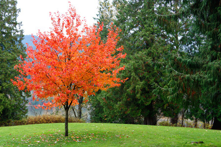 &amp;quot;Белая ворона&amp;quot;