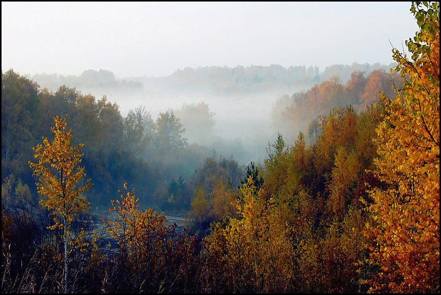 Утро туманное