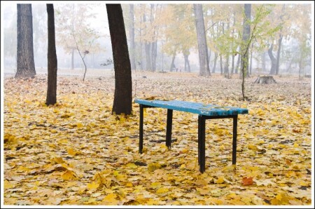 Осенний парк