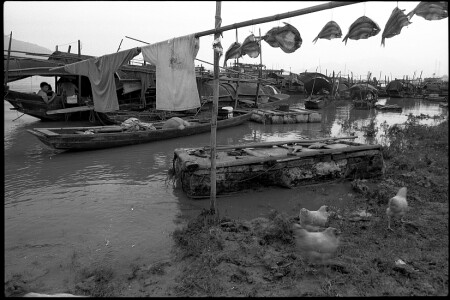 рыбы по небу летели...