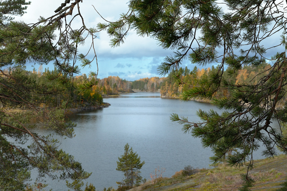 Окно в осень