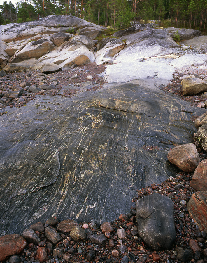 Белое море 2011 _ 12