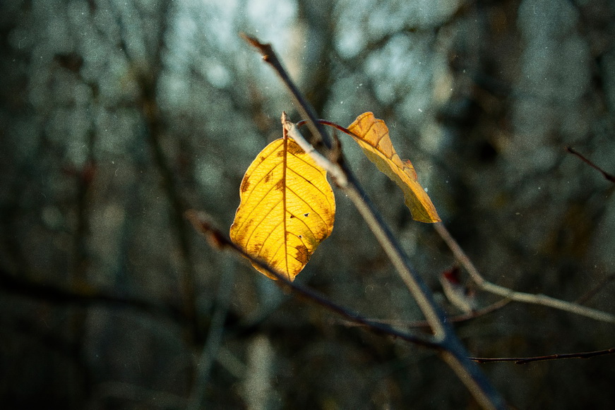 Осень