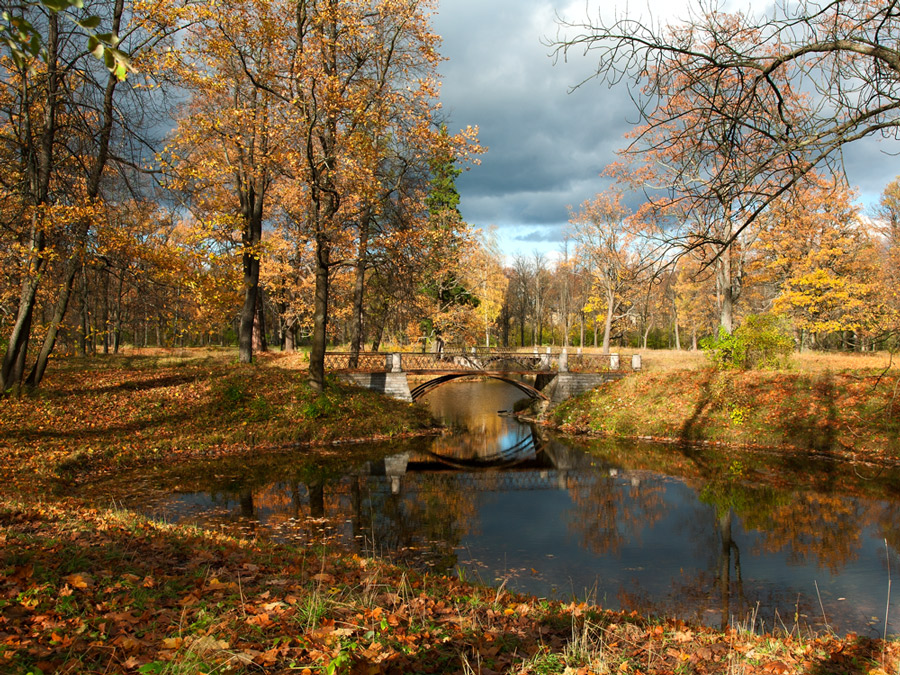 Краски осени.