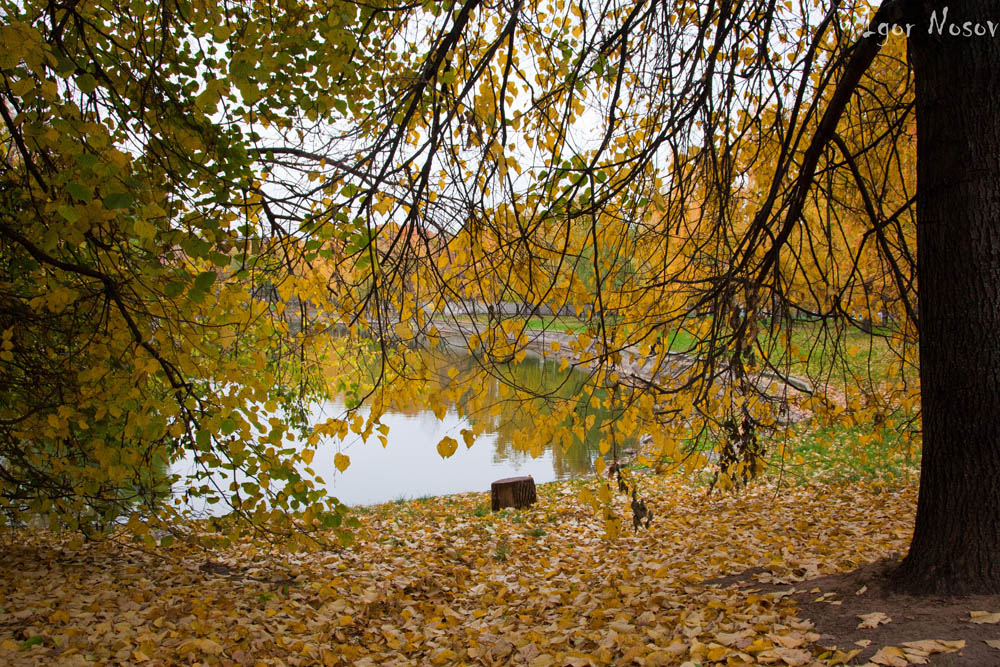 Осенняя паутина