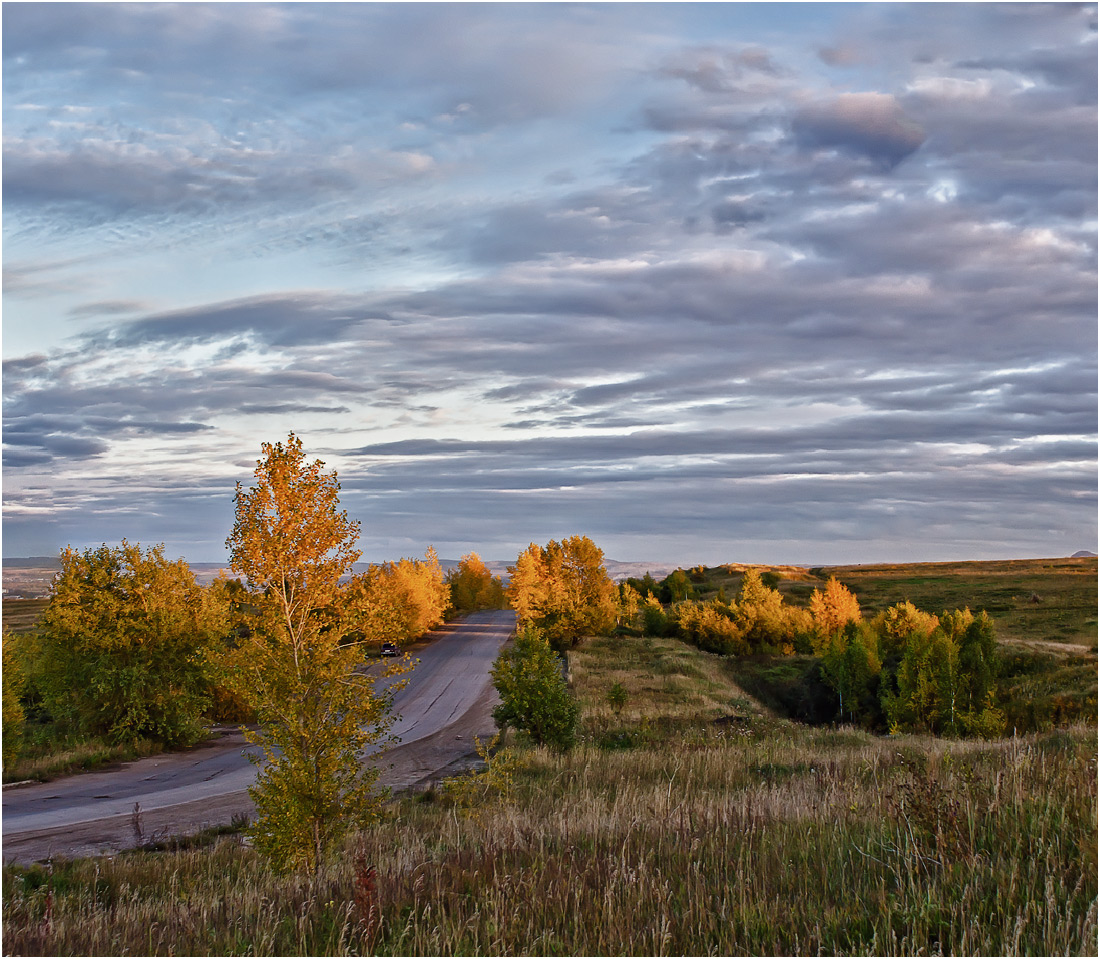 дорога в осень