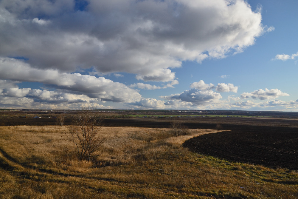 Осень, поле, облака