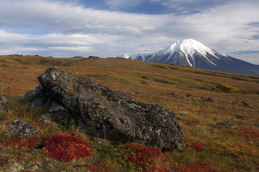 Камчатские Краски