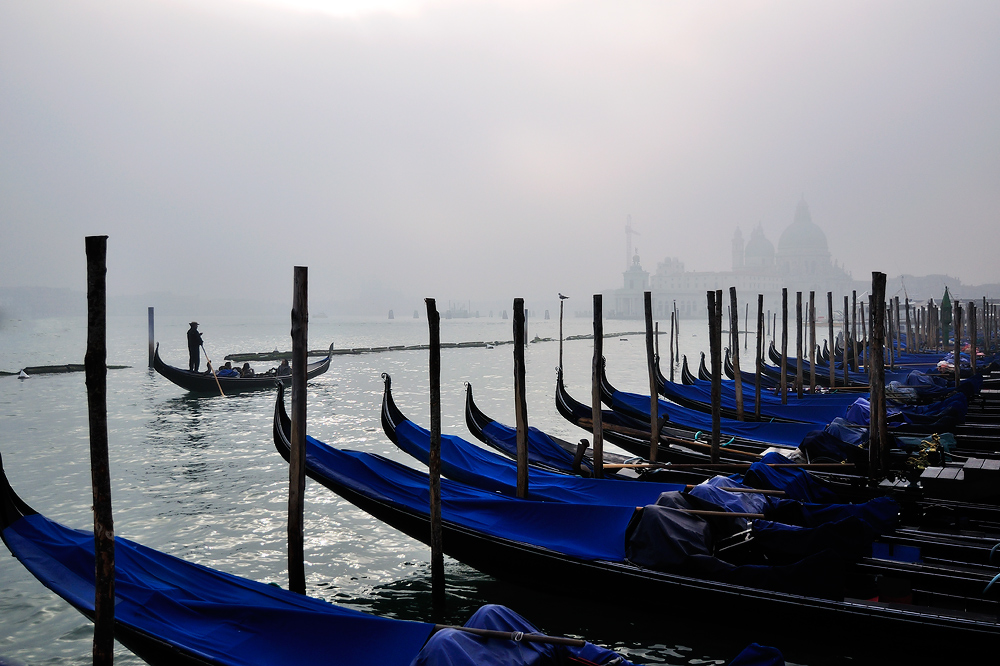 verso alla Santa Maria della Salute