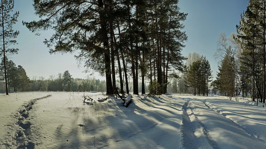 Зимние следы