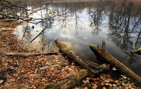 последний день осени