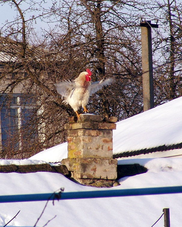 А-я-яй - печет!