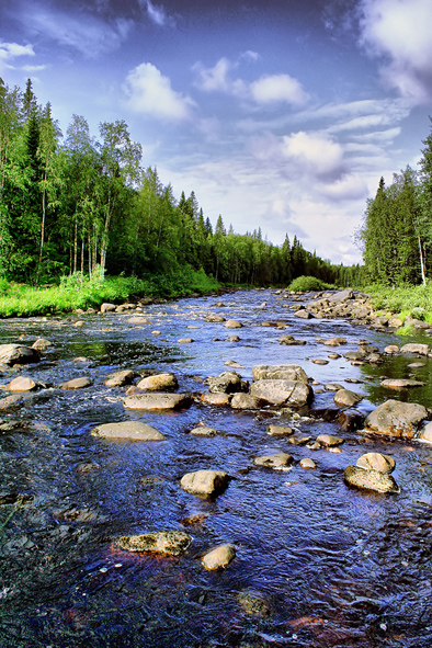 Река Летняя