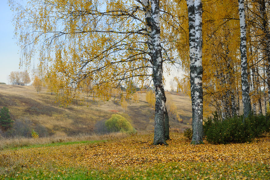 Осень на Немде