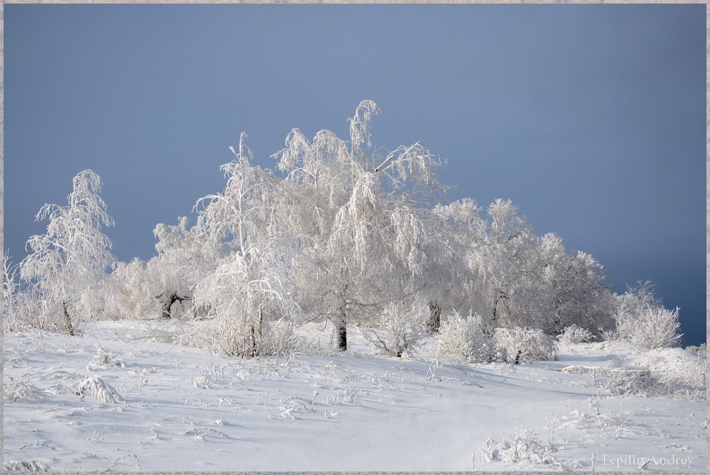 Белое безмолвие