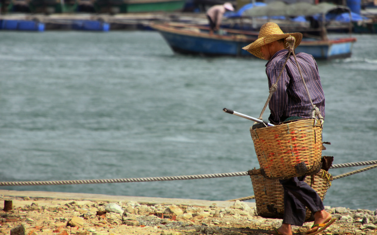 the chinese peasant