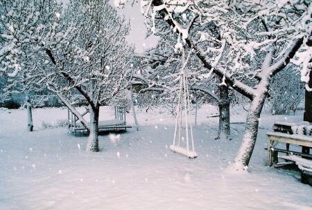 Зимняя сказка