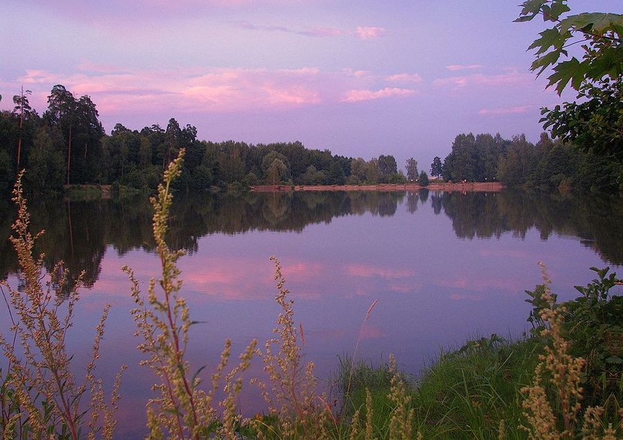 Сиреневый вечер