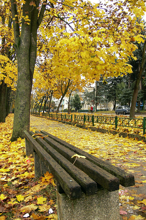 Осень в сквере