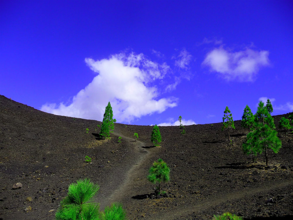 Tenerife