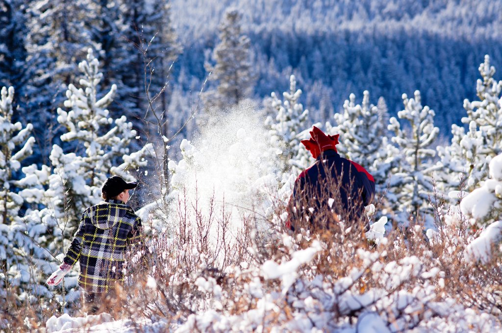 Snow fight