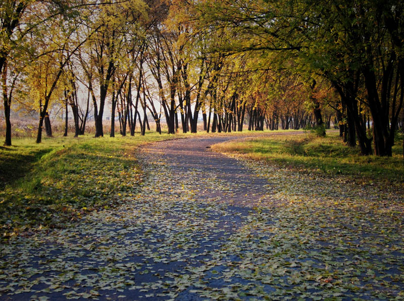 Осень