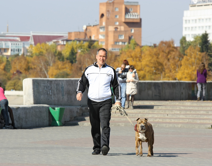 Партия и Ленин близнецы братья...