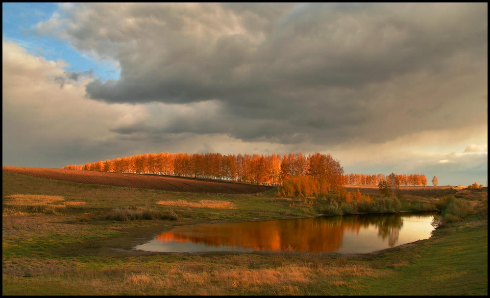 Осенняя палитра