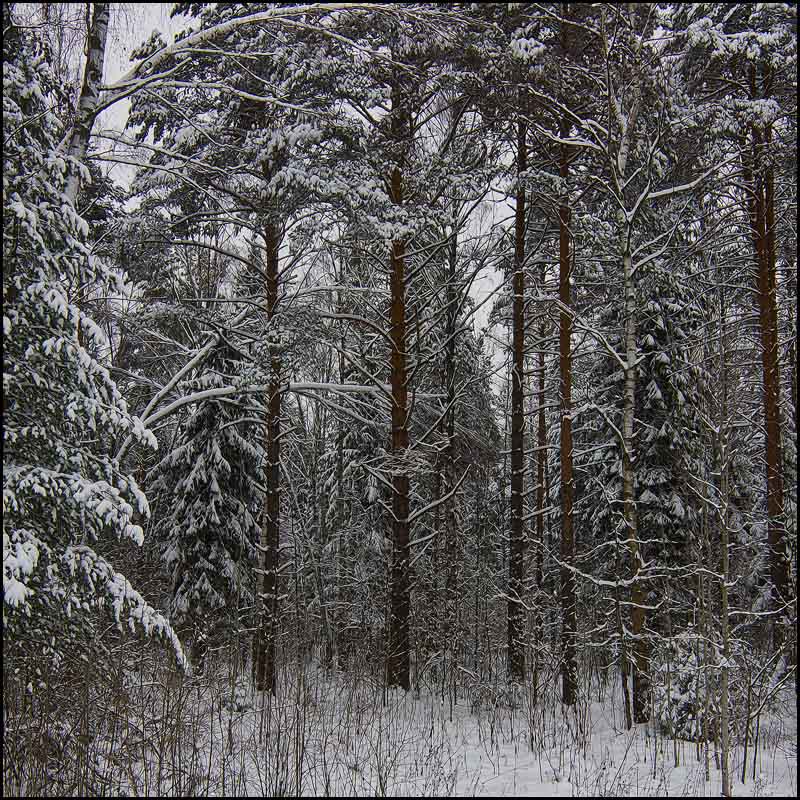 напряженность.