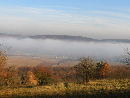 Под покровом