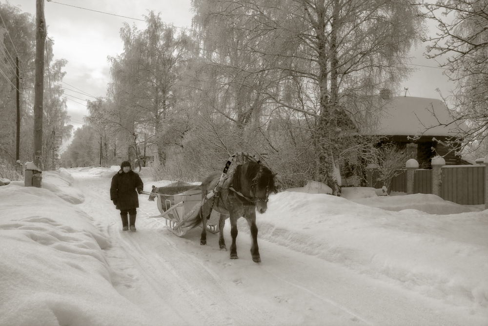 Городская лошадка