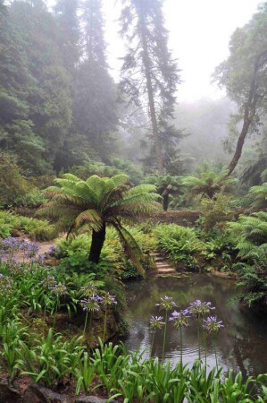 Парк замка Пена