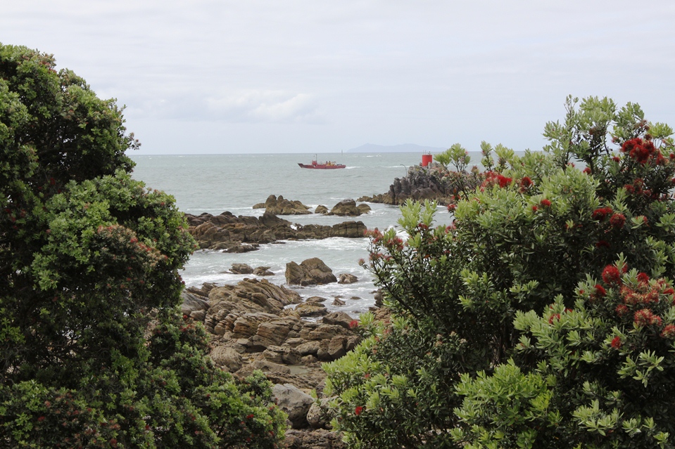 View from Mount Maunganui, New Zealand