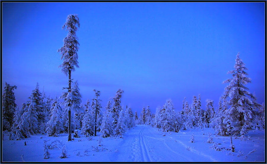 Сумерки