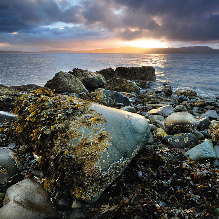 Firth of Clyde