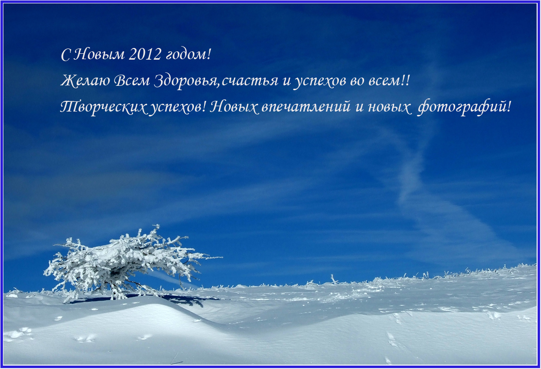 С Новым 2012 годом!