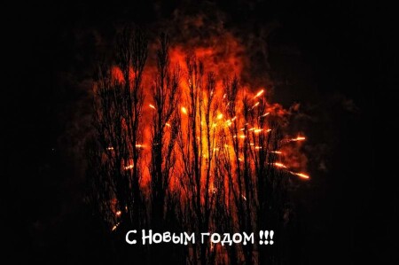 С Новым годом ! 2012