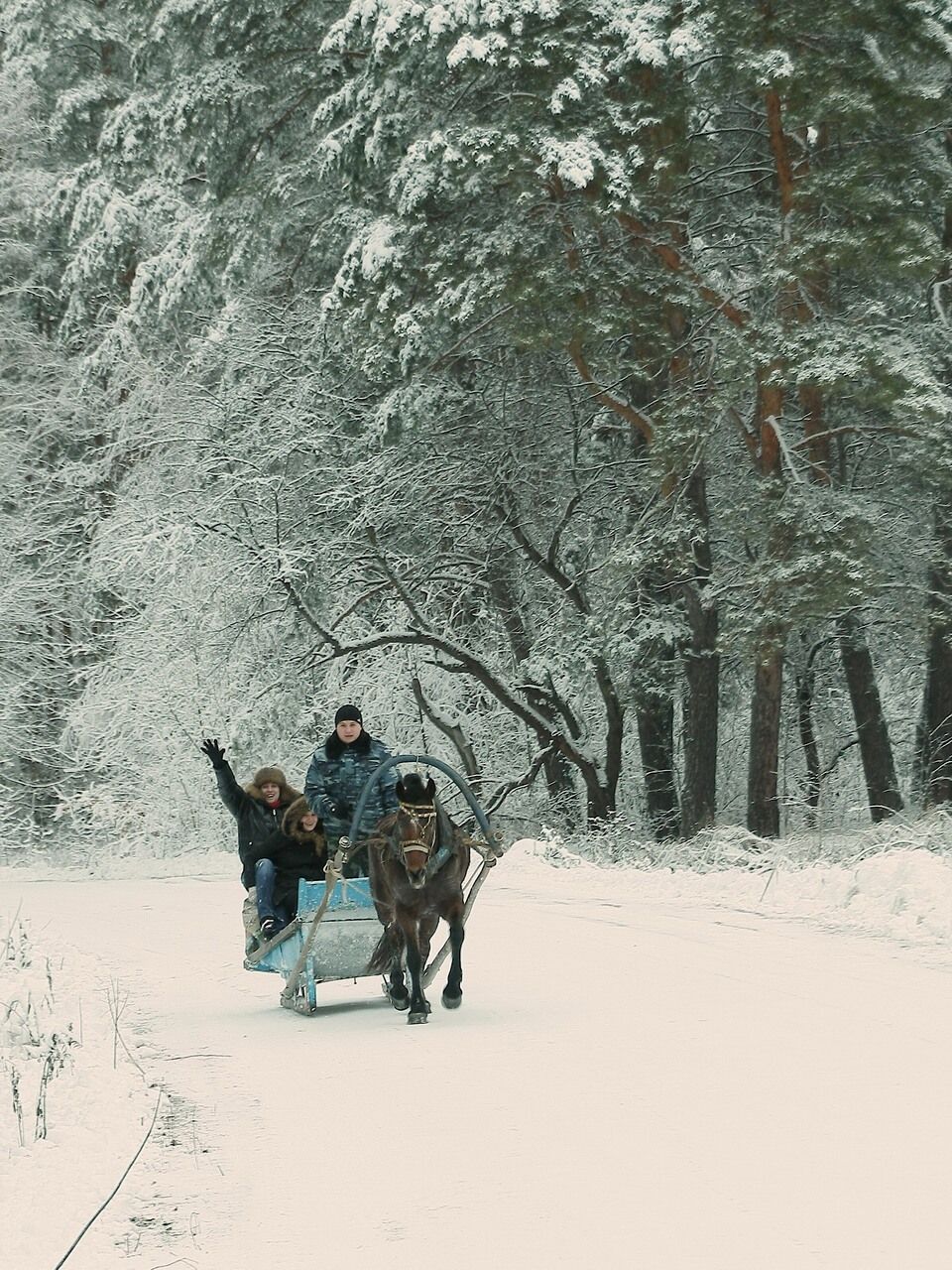 Первый снег