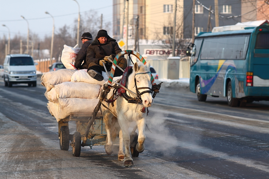 Труженница