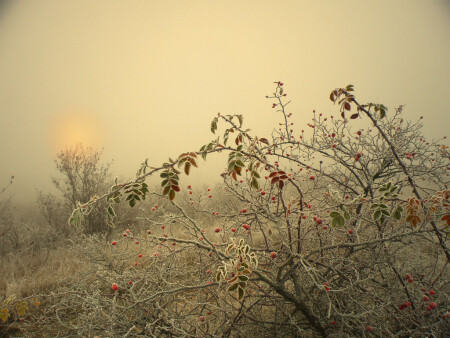 Чуть теплее