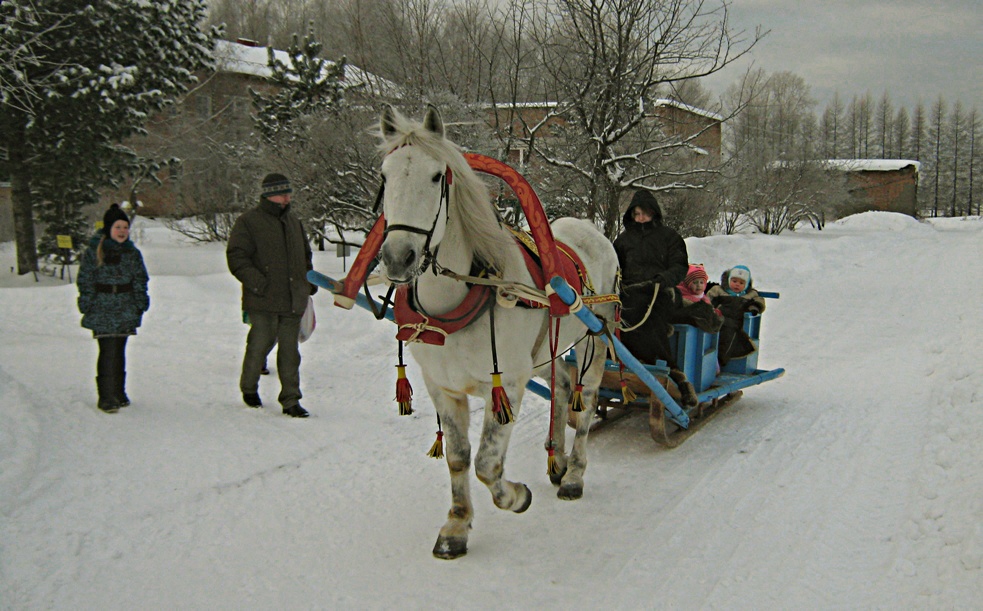 Катание на белом коне