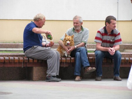 компания