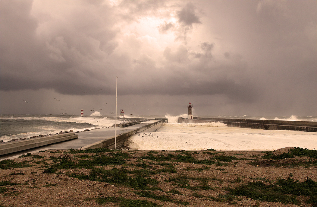 Lighthouse