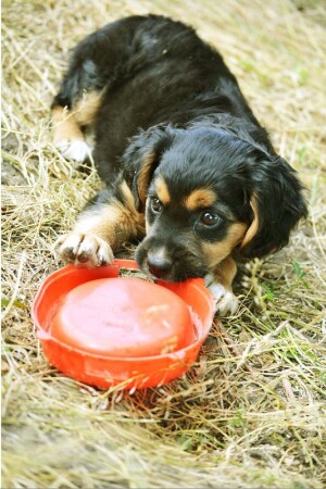 &amp;quot;Неужели всё?=(&amp;quot;