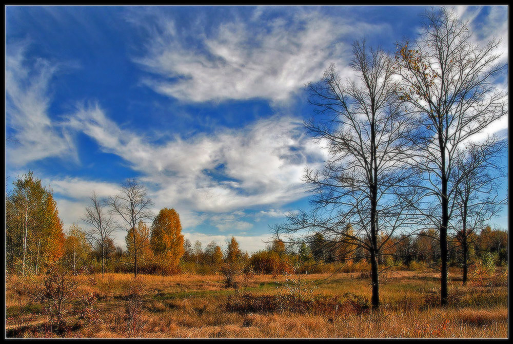 Перелесок